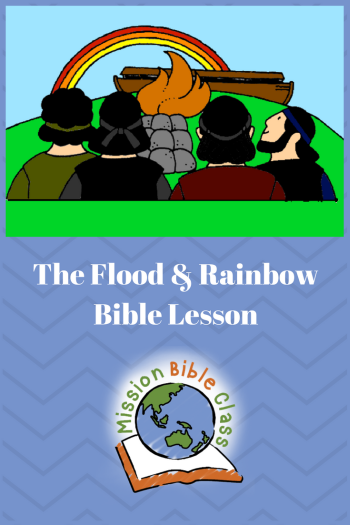 The Flood and God_s Promise Pin